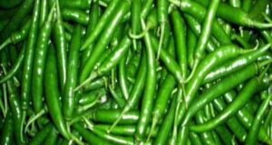 বরিশালে কাঁচা মরিচ ৬০০ টাকা কেজি !
