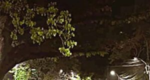 মধ্যরাতে ক্যাম্পাসে তাণ্ডব