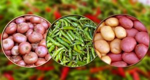 পিঁয়াজ , কাঁচামরিচ দাম বেড়েছে আলু দামও বেশ চড়া।