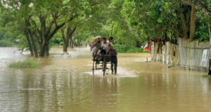 হিন্দুস্তানে পানি ছাড়ায় দেশে বন্যা: ফারুক