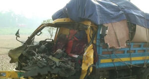 দাঁড়িয়ে থাকা ট্রাকের পেছনে পিকআপ ভ্যানের ধাক্কায় দুই কলা ব্যবসায়ী নিহত