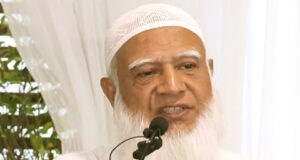 আওয়ামী লীগ এদেশের একটি চরমপন্থী ও সন্ত্রাসী সংগঠন:আমির