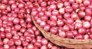 হিলি বন্দর দিয়ে দুই দিনে ১১৯৮ টন ভারতীয় পেঁয়াজ আমদানি।