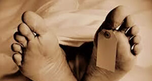 বরগুনায় ঘূর্ণিঝড় দানার প্রভাবে গাছ ভেঙে বৃদ্ধের মৃত্যু