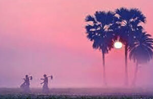 দিন ও রাতের তাপমাত্রা কমতে পারে, বাড়তে পারে কুয়াশা