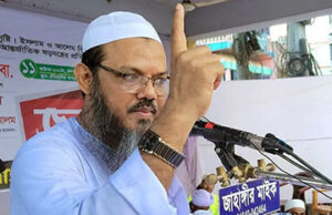 আমরা আর কোনো ভাঙচুর দেখতে চাই না: চরমোনাই পীর