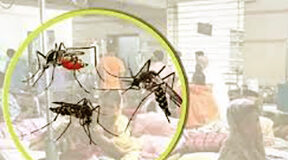 ডেঙ্গু জ্বরে আরও ১০ জনের মৃত্যু, শনাক্ত ৮৮৬