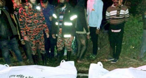 গৌরনদীতে পিকআপ নিয়ন্ত্রণ হারিয়ে চালকসহ দুই জন নিহত