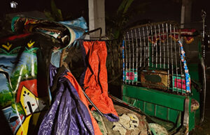 কুমিল্লার দেবিদ্বার সড়কে বাসচাপায় আপন ভাই বোনের মৃত্যু