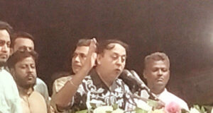 দের যুগ পর নিজ এলাকায় সমাবেশ করলেন বিএনপি নেতা