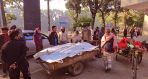 দাঁড়িয়ে থাকা করিমনে ট্রাকের ধাক্কা, ৩ কৃষি শ্রমিক নিহত ও 5 জন আহত