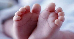 ঢাবির ফুটপাতে পাশে পড়েছিল নবজাতকের মরদেহ