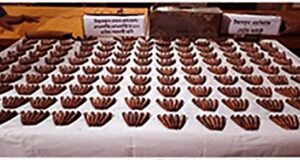 নোয়াখালীর চাটখিল থানা থেকে লুট হওয়া ৬১২ রাউন্ড বুলেট মিলল খালে