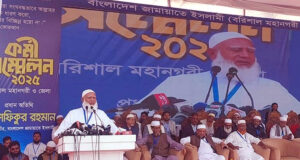 আওয়ামী লীগ কোনো রাজনৈতিক দল নয়, গণহত্যার সিন্ডিকেট: আমির