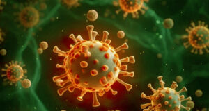 দেশে একজনের শরীরে এইচএমপিভি শনাক্ত