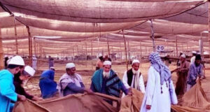 বিশ্ব ইজতেমা শুরু কাল, আসতে শুরু করেছেন মুসল্লিরা