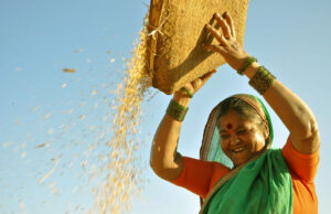 ট্রাম্প চান ভারত মার্কিন ভুট্টা কিনুক – কিন্তু সম্ভবত কেন তা কিনবে না তা এখানে