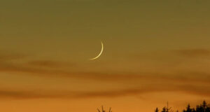 চাঁদ দেখা গেছে, কাল থেকে রোজা