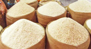 ভারত ও ভিয়েতনাম থেকে এলো ৩৫ হাজার টন চাল