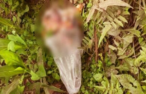 ময়মনসিংহে ভুট্টাক্ষেত থেকে নবজাতকের লাশ উদ্ধার