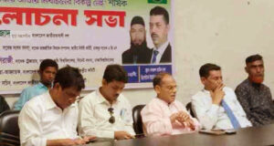 শেখ হাসিনার পতন বিএনপির ১৭ বছরের আন্দোলনের ফসল : সালাম আজাদ