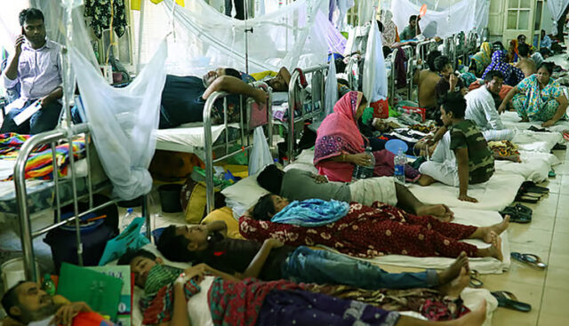 23 Dengue Patients