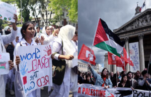 গাজায় ইসরায়েলি বর্বরতা: সারা দেশের শিক্ষার্থীরা ক্লাস, পরীক্ষা বর্জন করেছে