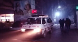 অবৈধ নসিমন চাপায় কুষ্টিয়ায় শিশু নিহত