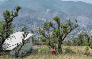 ভারত-পাকিস্তানের মধ্যে উত্তেজনা বৃদ্ধির পর পাকিস্তান দ্বিতীয়বারের মতো ক্ষেপণাস্ত্র পরীক্ষা চালালো।