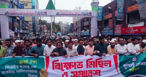 প্রফেসর ইউনূসকে কাজ করতে দিচ্ছে না বেশ কয়েকটি রাজনৈতিক দল