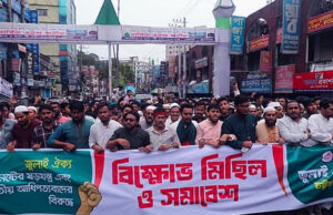 প্রফেসর ইউনূসকে কাজ করতে দিচ্ছে না বেশ কয়েকটি রাজনৈতিক দল