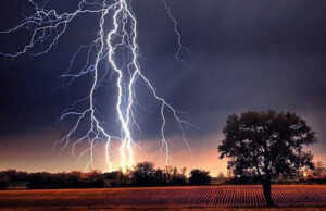 āĻāĻŋāĻļā§āϰāĻāĻā§āĻā§ āĻŦāĻā§āϰāĻĒāĻžāϤ⧠āϤāĻŋāύ āϏā§āĻā§āϞāĻāĻžāϤā§āϰā§āϏāĻš āĻāĻžāϰāĻāύā§āϰ āĻŽā§āϤā§āϝā§