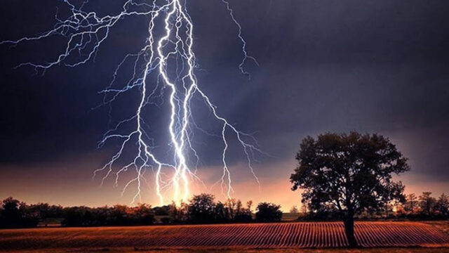 Three Schoolgirls Among 4 Killed