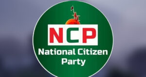 নির্বাচনকালীন সরকারের জন্য এনসিপির কাঠামোতে কী আছে?