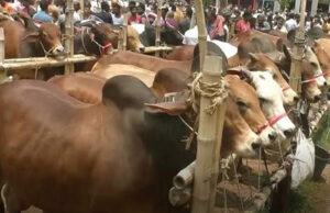 āĻĸāĻžāĻāĻž āĻāϤā§āϤāĻ°ā§ ā§ŽāĻāĻŋ āĻĒāĻļā§āϰ āĻšāĻžāĻ āĻāĻāĻžāϰāĻž āύāĻŋāϞā§āύ āĻŦāĻŋāĻāύāĻĒāĻŋ āύā§āϤāĻžāϰāĻž