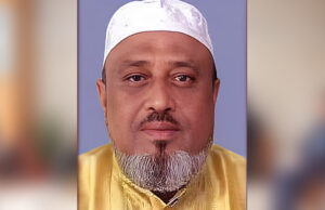 বিএনপি যা বলছে তা শোনো, নইলে চলে যাও: ওসি, ইউএনওদের প্রতি বিএনপি নেতার আহ্বান