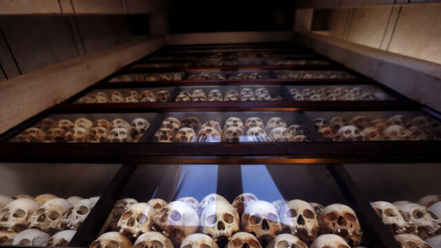 Skulls Displayed