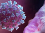 বাংলাদেশে ২৪ ঘন্টায় আরও ৫ জন কোভিড-১৯ আক্রান্তের খবর পাওয়া গেছে