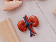 সুস্থ কিডনির জন্য ৩টি খাবার