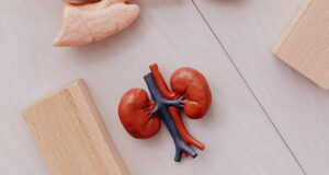 সুস্থ কিডনির জন্য ৩টি খাবার