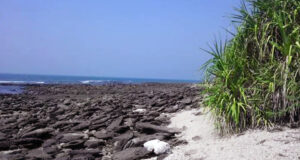 সেন্ট মার্টিন দ্বীপের জন্য মাস্টার প্ল্যান শীঘ্রই আসছে