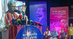 নির্বাচন বানচালের ষড়যন্ত্র করছে একটি মহল: মির্জা ফখরুল