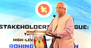 জাতি নির্বাচনের জন্য প্রস্তুত: প্রধান উপদেষ্টা