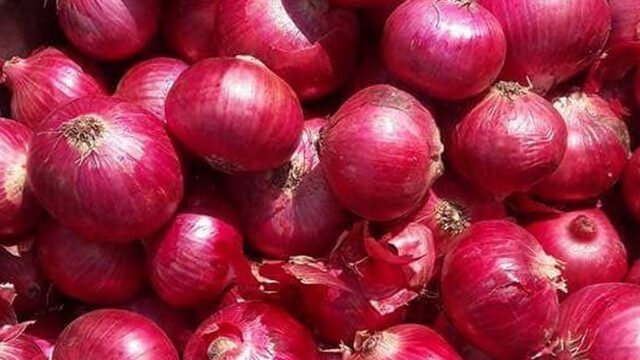Onion