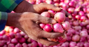 আমদানি বন্ধ এবং সরবরাহ ঘাটতির মধ্যে বাংলাদেশে পেঁয়াজের দাম বেড়েছে