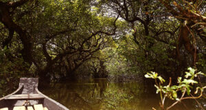 রাতারগুল জলাভূমি স্থানীয়দের জীবিকা নির্বাহের সুযোগ করে দেয়