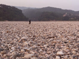 Stone looting investigation report makes 10