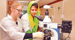 স্থানীয় বিশ্ববিদ্যালয়গুলিতে আন্তর্জাতিক শিক্ষার্থীর সংখ্যা কমে যাচ্ছে