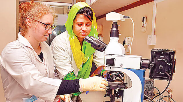 International Students Decline In Local Universities