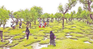 ‘নিদ্রার চর’, তিনটি নদীর এক অনন্য সঙ্গমস্থল